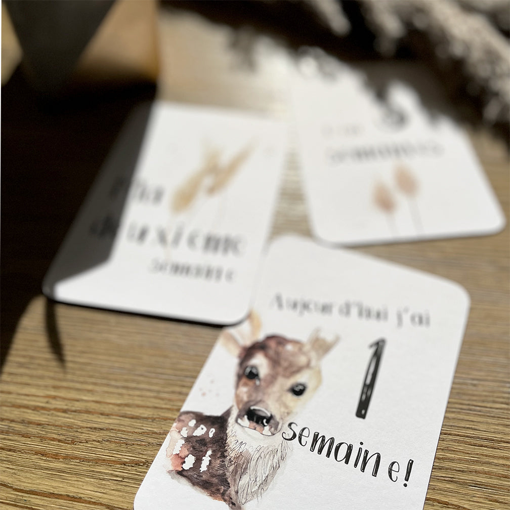 Cartes-étapes · bébé · Faon, pampas et myosotis