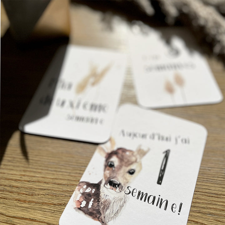 Cartes-étapes · bébé · Faon, pampas et myosotis