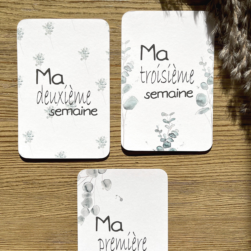 Cartes-étapes · bébé · eucalyptus · première année de bébé