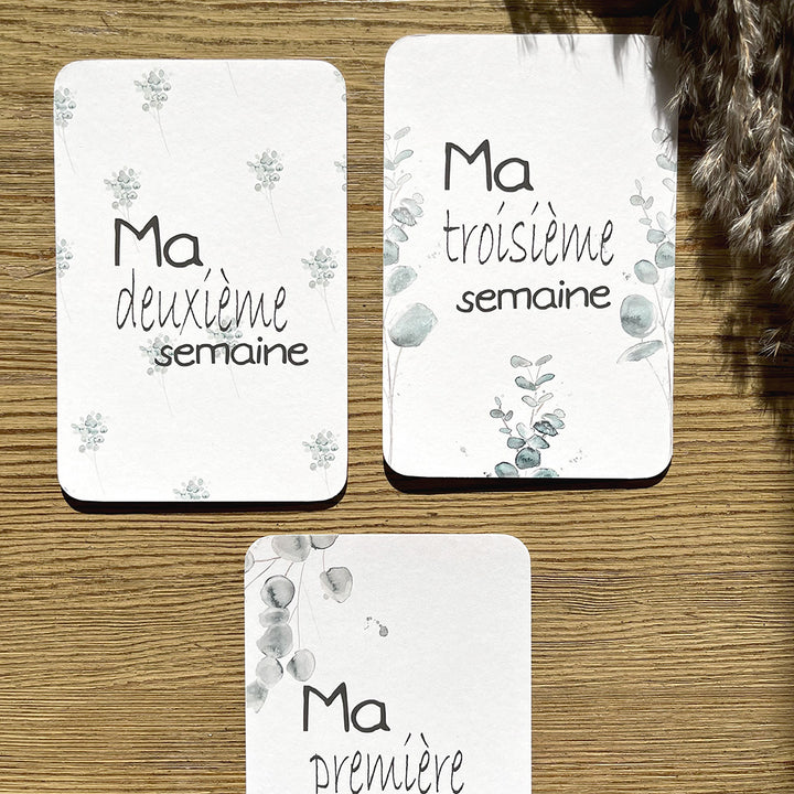 Cartes-étapes · bébé · eucalyptus · première année de bébé