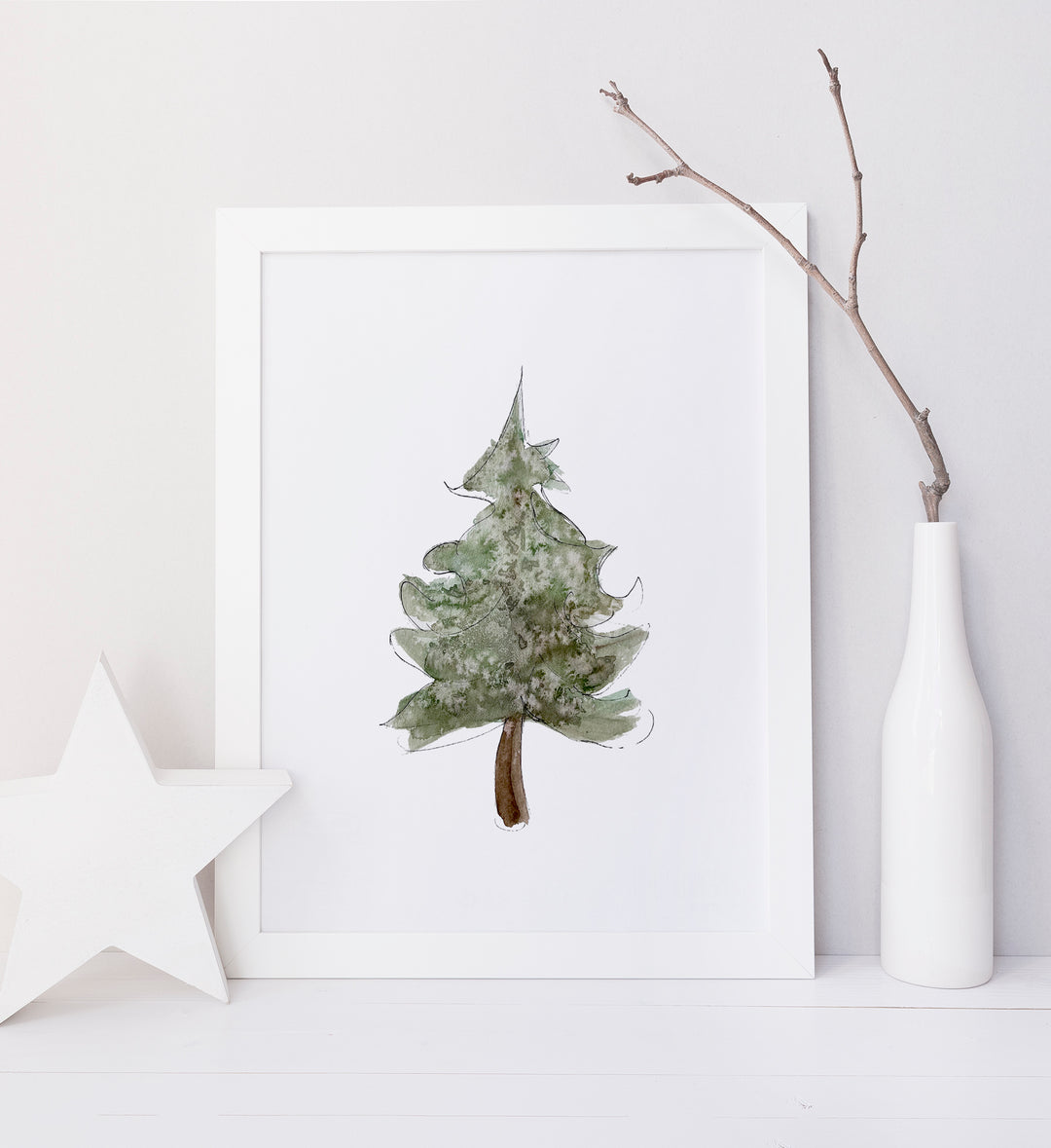 Illustration - Sapin boréal