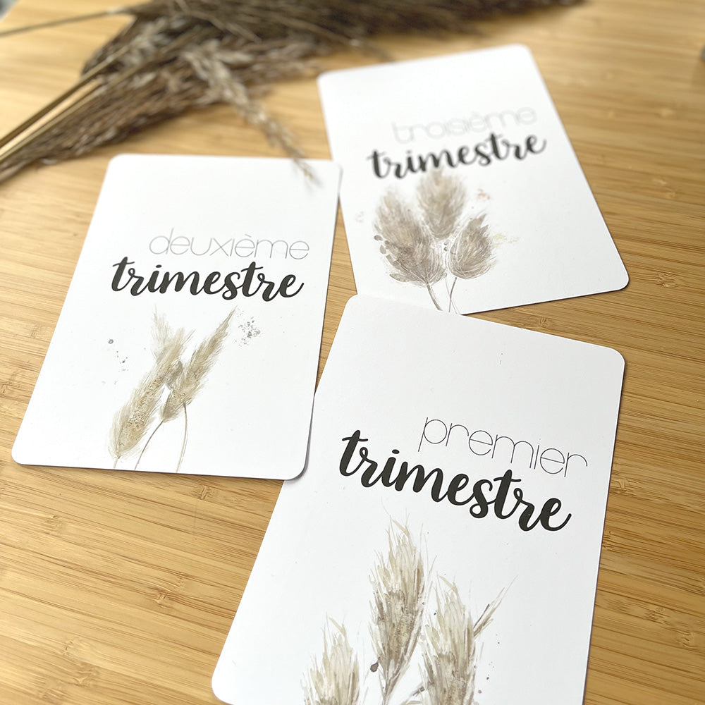 Cartes-étapes - Ma grossesse, Pampas et feuillage