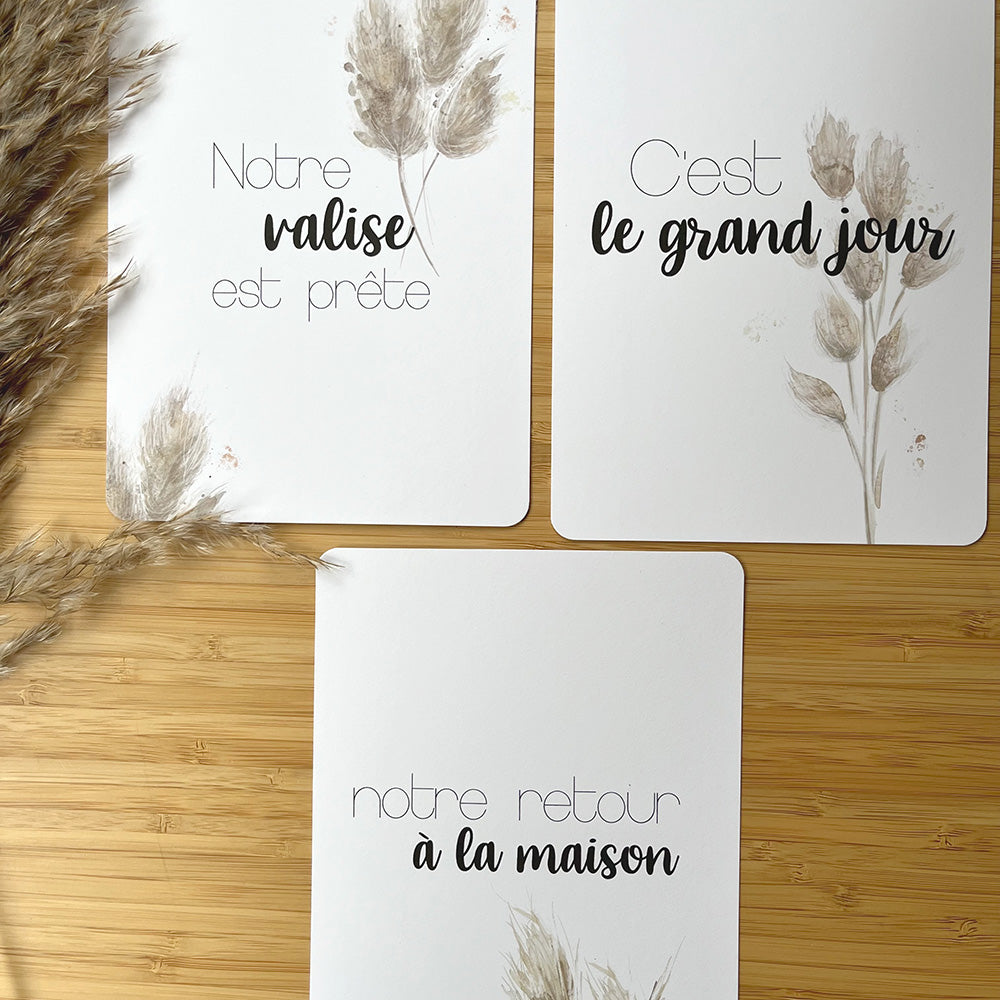 Cartes-étapes - Ma grossesse, Pampas et feuillage