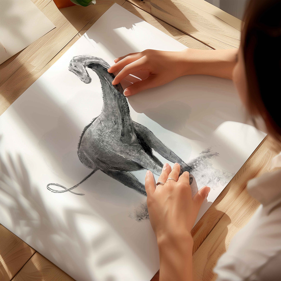 Illustration - Dinosaure - Diplodocus noir et blanc