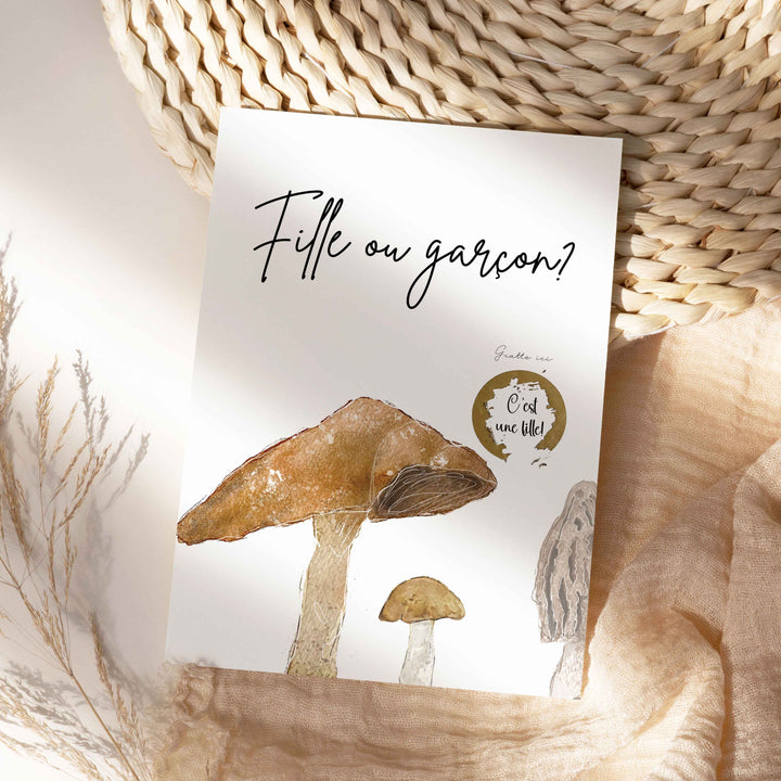 Carte à gratter nature et fleurs sauvages  -  Fille ou garçon?