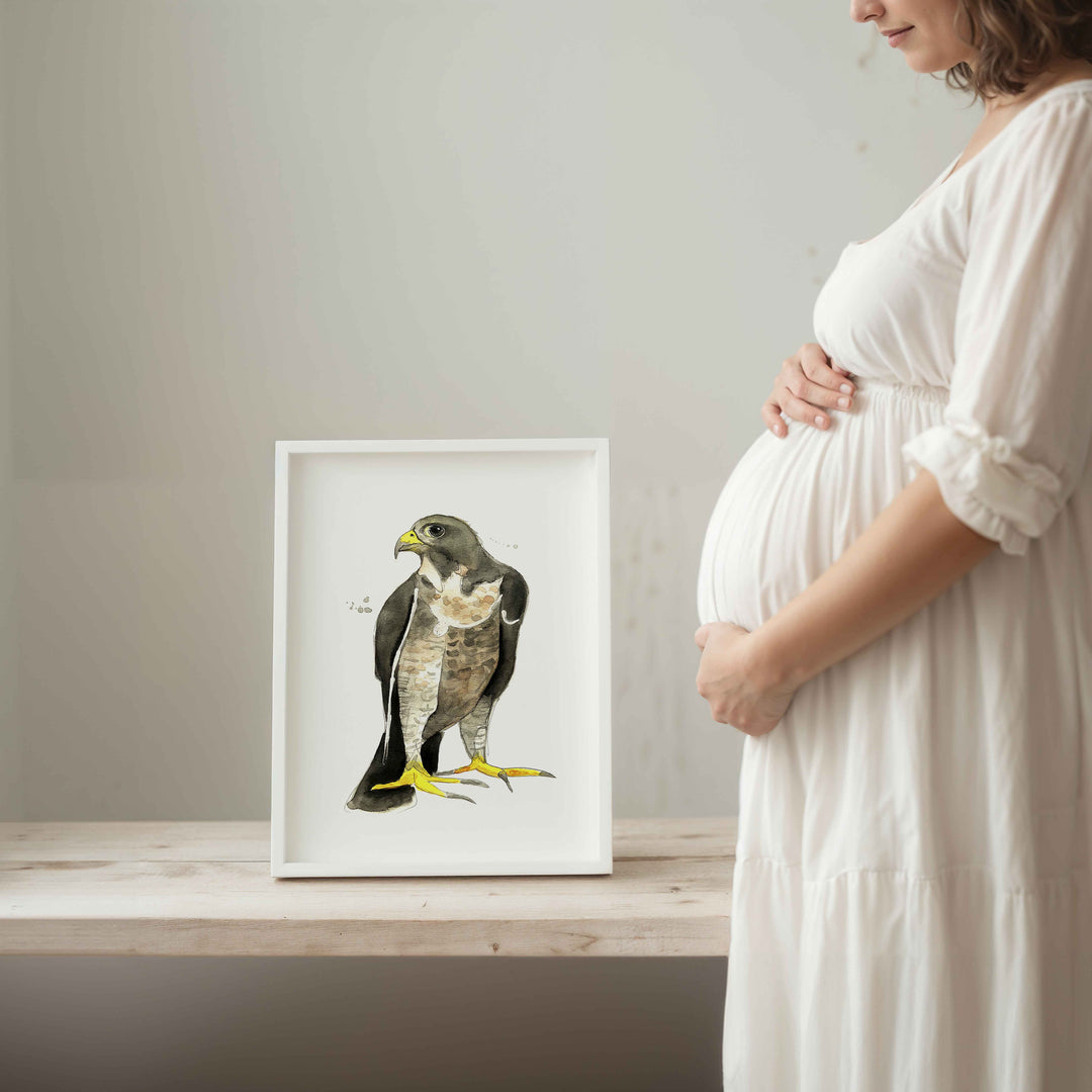 Wall poster - Falcon