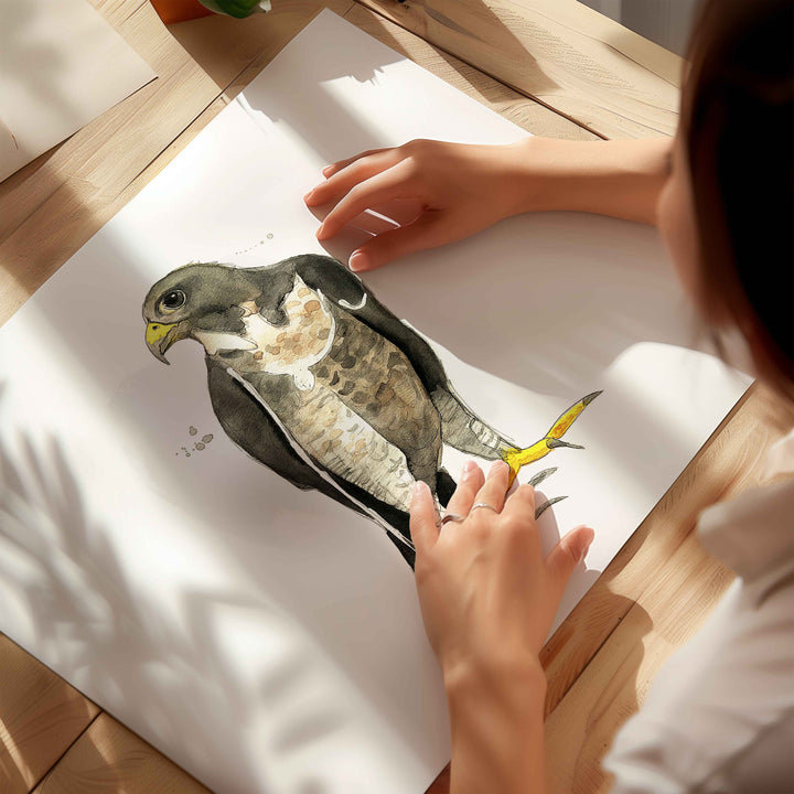Wall poster - Falcon