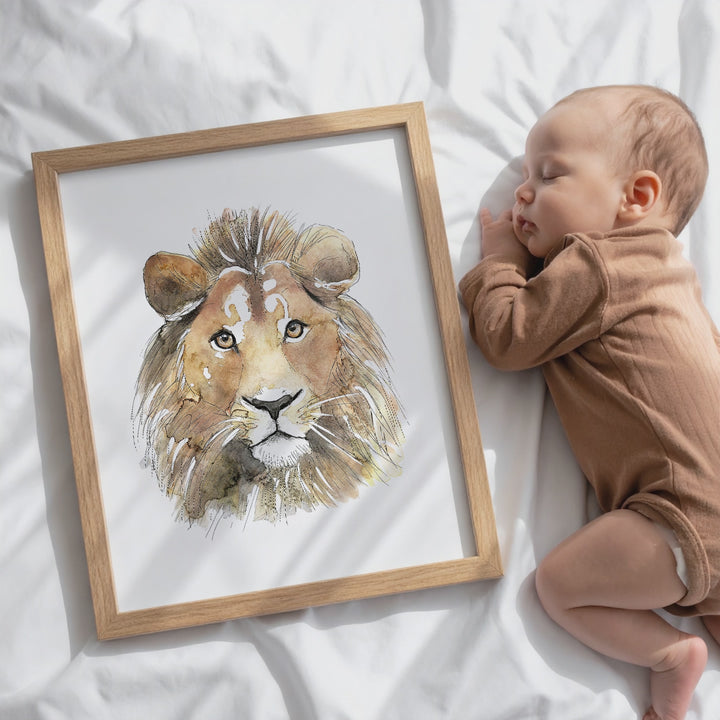 Illustration - Savanna Animals - Lion