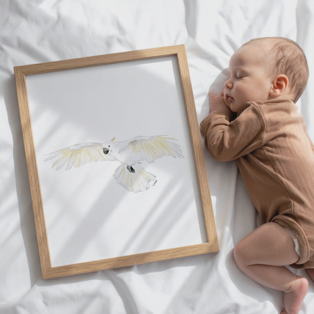 Wall art - cockatoo