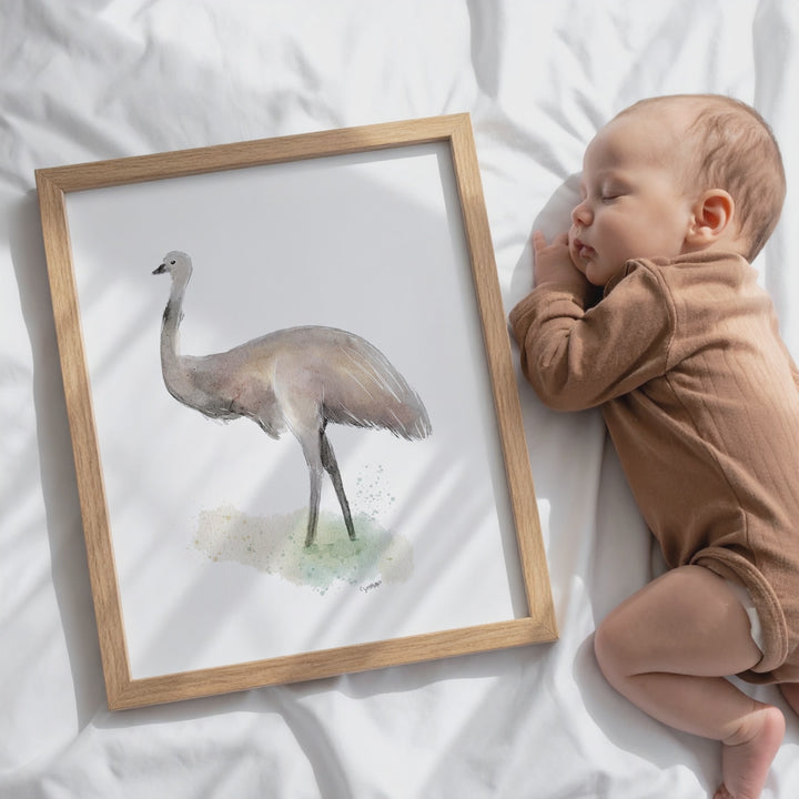 Wall Art - Emu