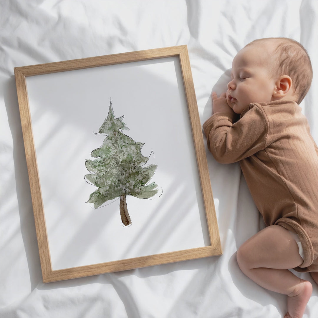 Wall Poster - Boreal Fir