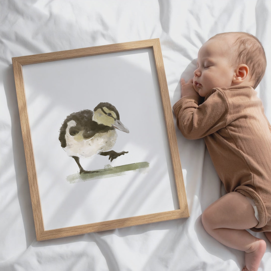 Illustration - Farm animals - baby duck