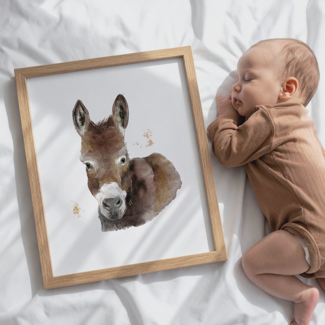 Illustration - Animaux de la ferme - Âne