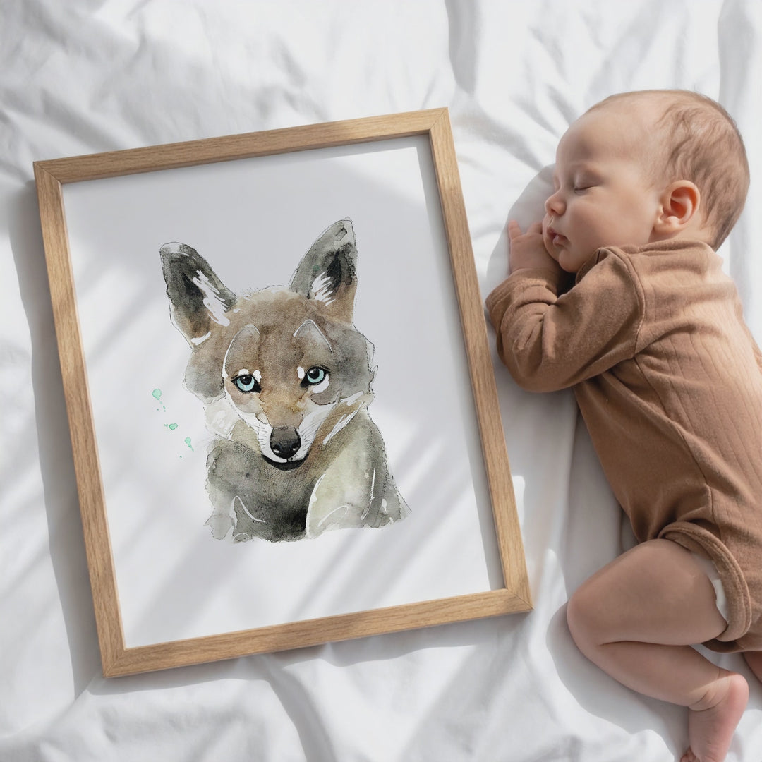 Wall poster - Young wolf