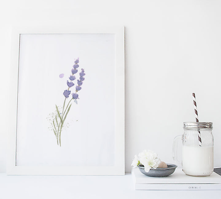 Illustration - Duo de lavande