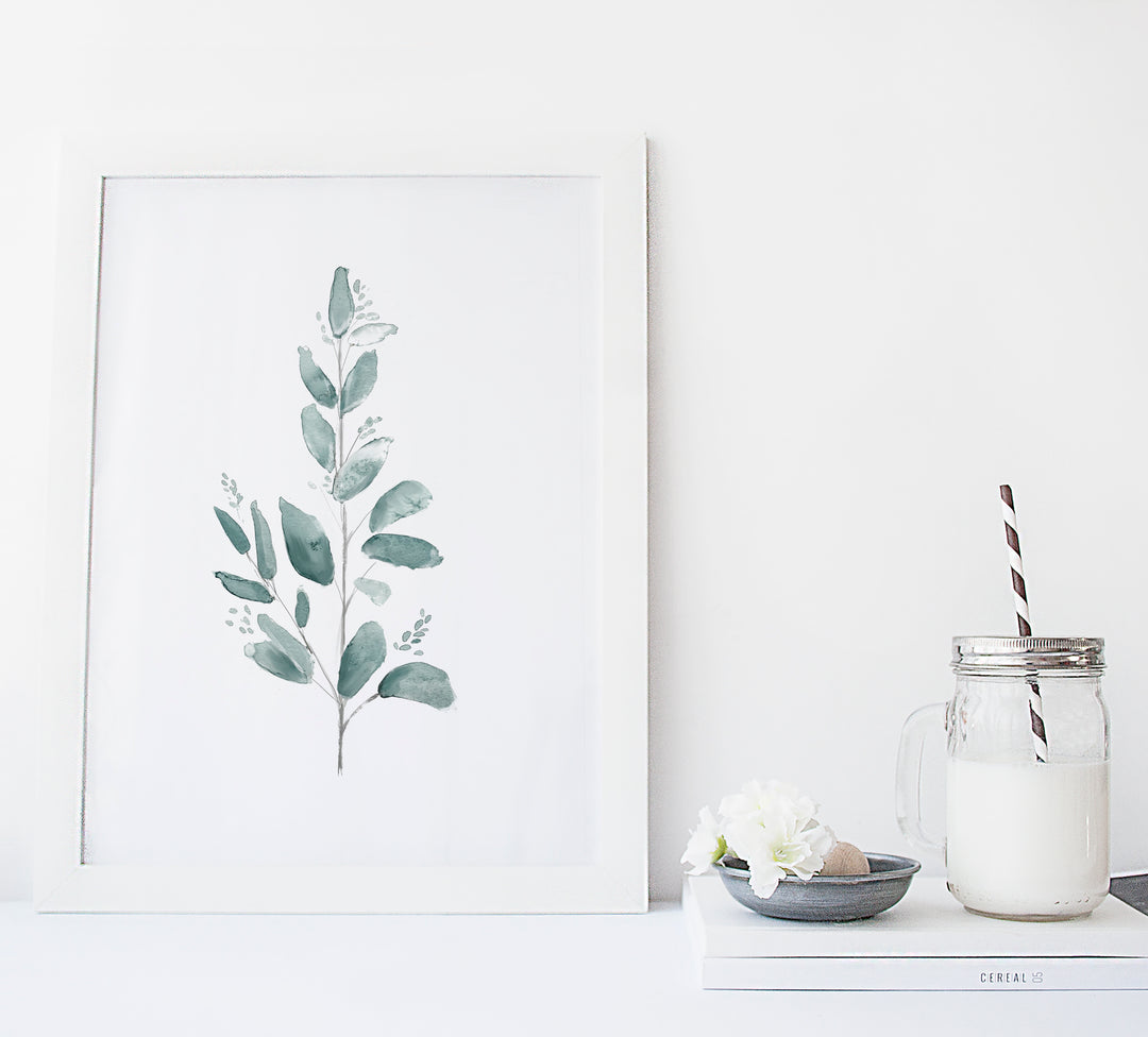 Illustration - Branche d'eucalyptus