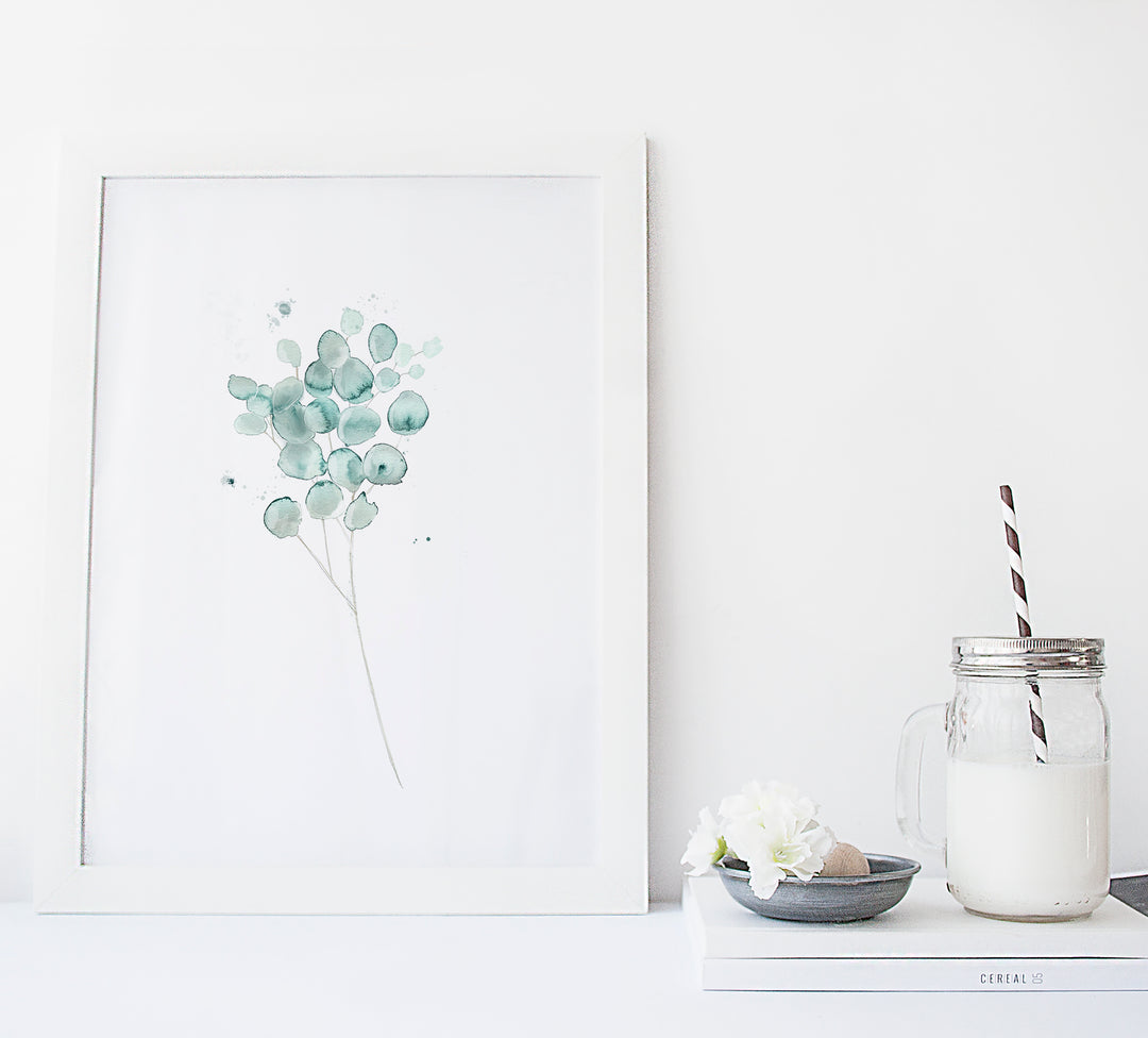 Illustration - Botanique - Branche d'eucalyptus