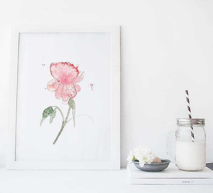 Ensemble d'illustrations florales